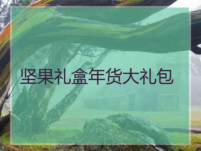 坚果礼盒年货大礼包