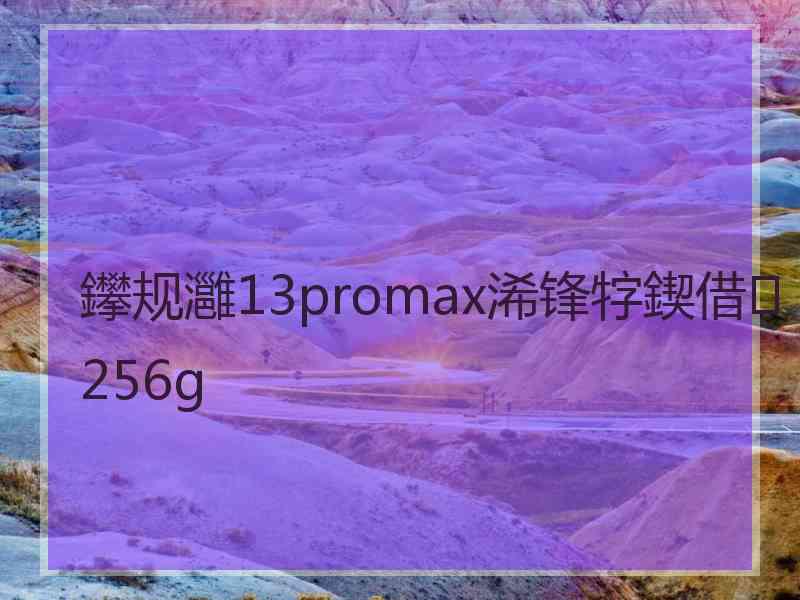 鑻规灉13promax浠锋牸鍥借256g