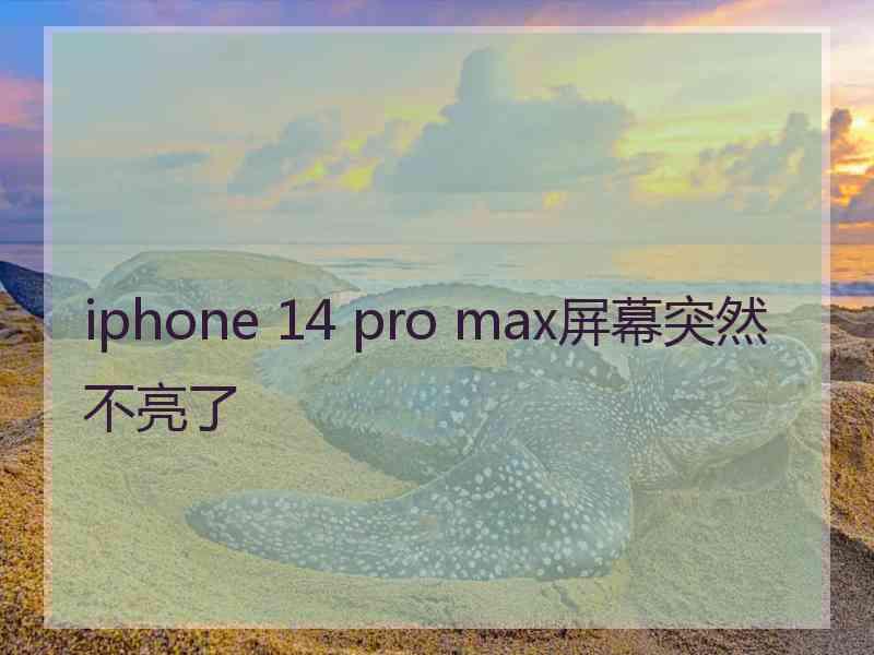 iphone 14 pro max屏幕突然不亮了