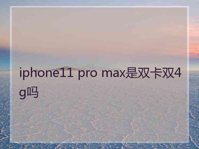 iphone11 pro max是双卡双4g吗