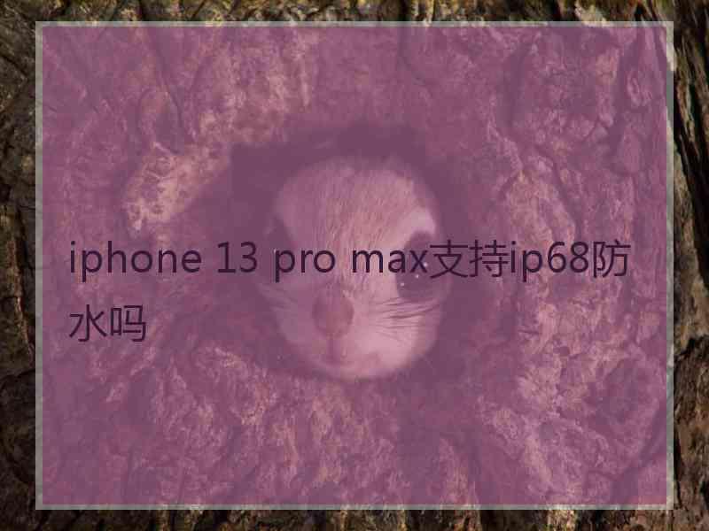 iphone 13 pro max支持ip68防水吗