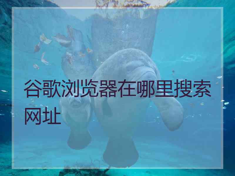 谷歌浏览器在哪里搜索网址