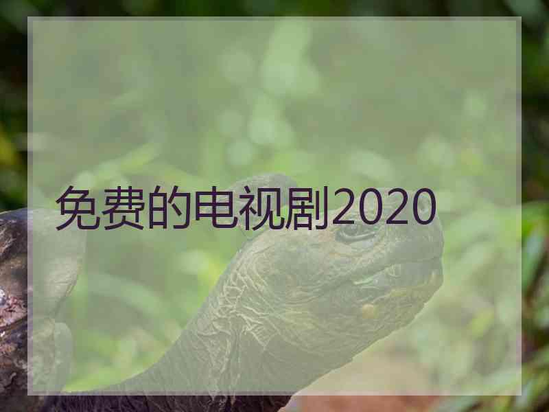 免费的电视剧2020