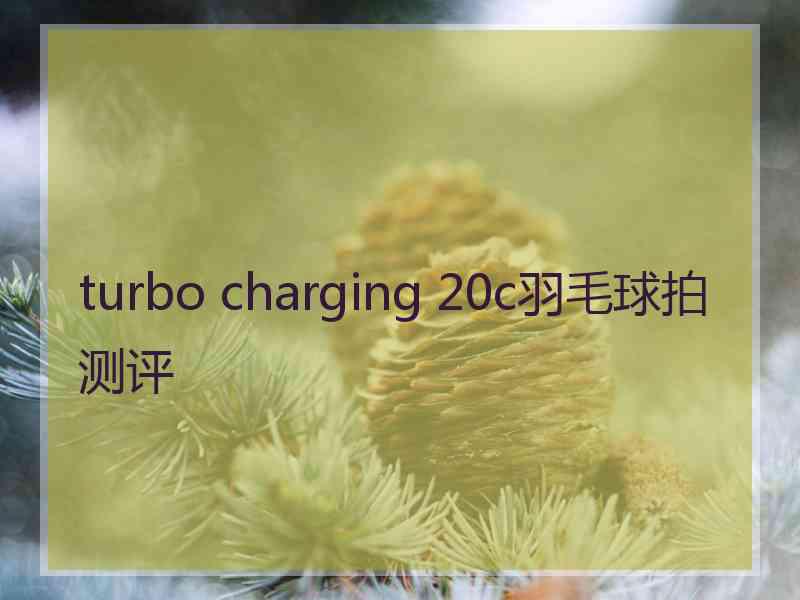 turbo charging 20c羽毛球拍测评