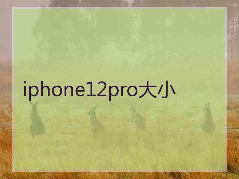 iphone12pro大小