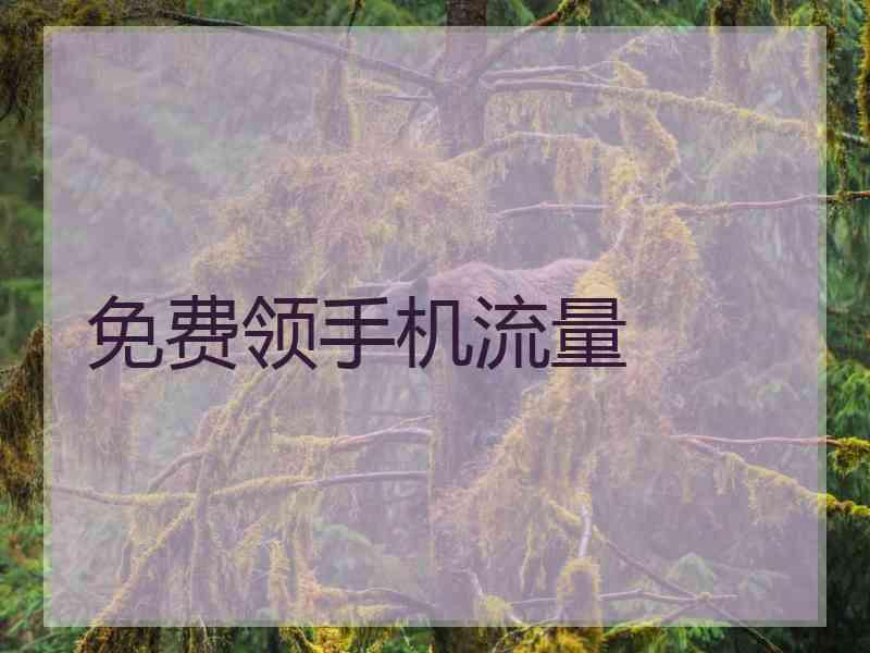 免费领手机流量