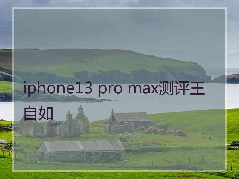 iphone13 pro max测评王自如