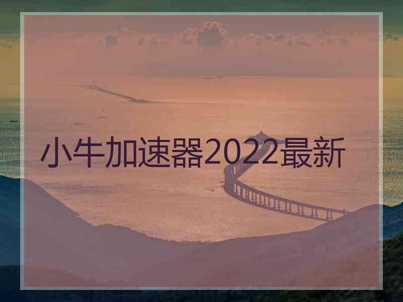 小牛加速器2022最新