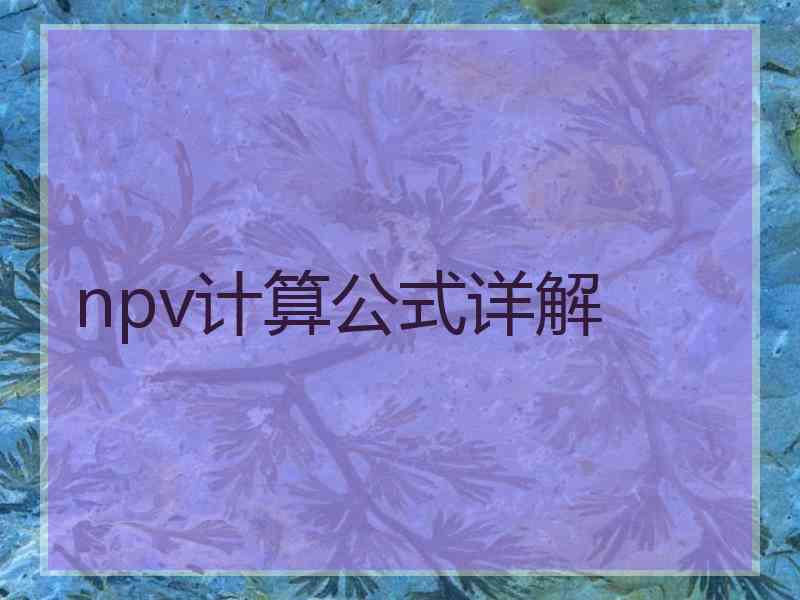 npv计算公式详解