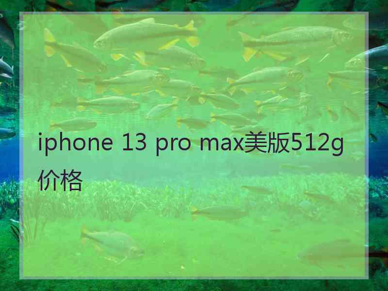 iphone 13 pro max美版512g价格