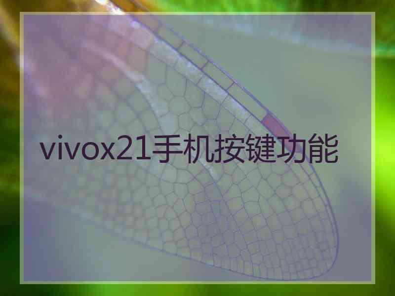 vivox21手机按键功能