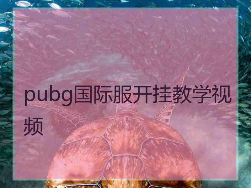 pubg国际服开挂教学视频