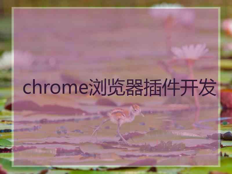 chrome浏览器插件开发