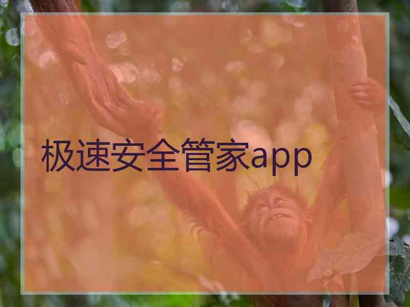 极速安全管家app