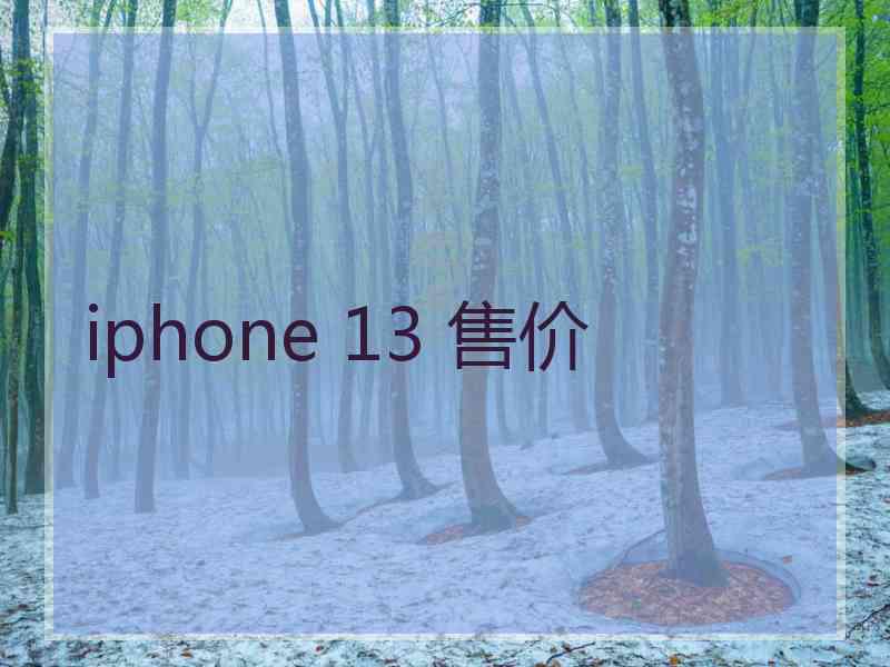 iphone 13 售价