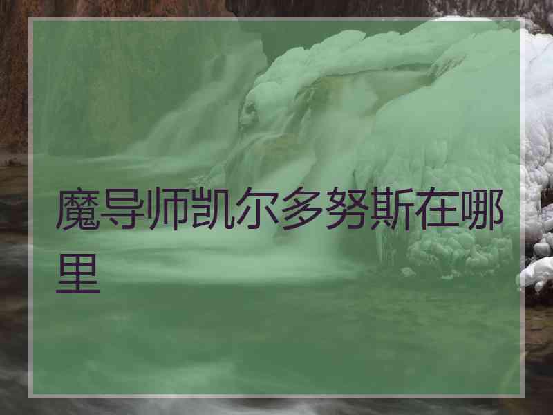 魔导师凯尔多努斯在哪里