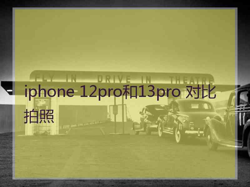 iphone 12pro和13pro 对比拍照