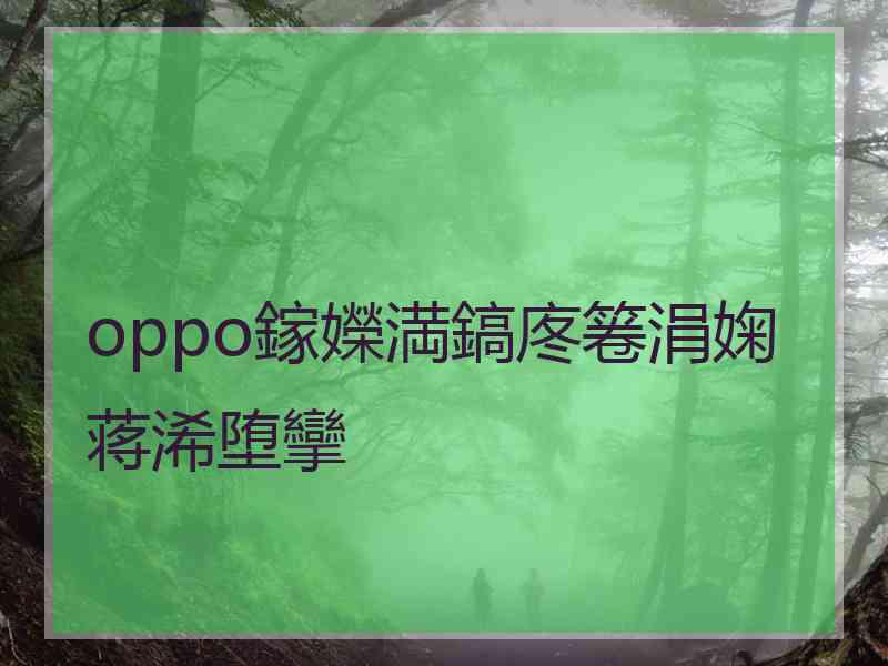 oppo鎵嬫満鎬庝箞涓婅蒋浠堕攣