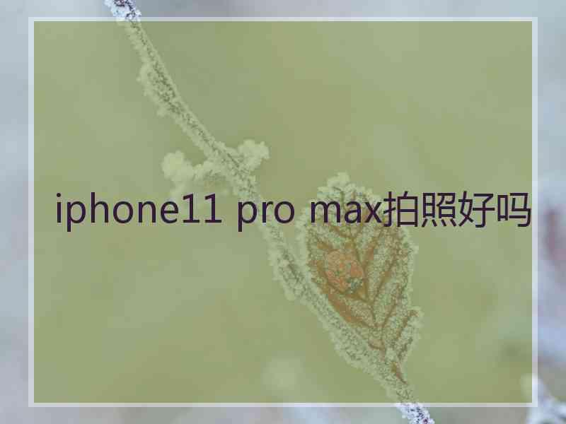 iphone11 pro max拍照好吗