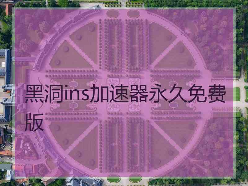 黑洞ins加速器永久免费版