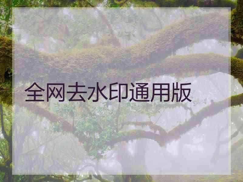 全网去水印通用版