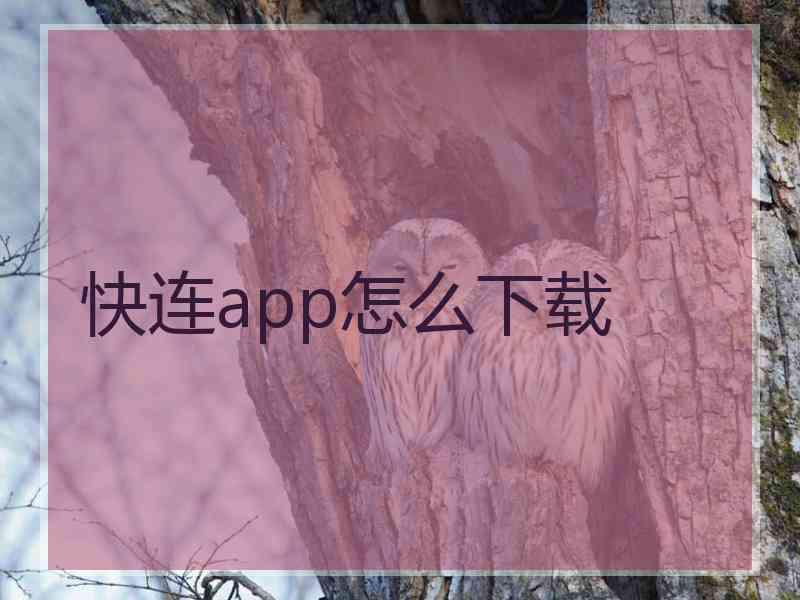 快连app怎么下载