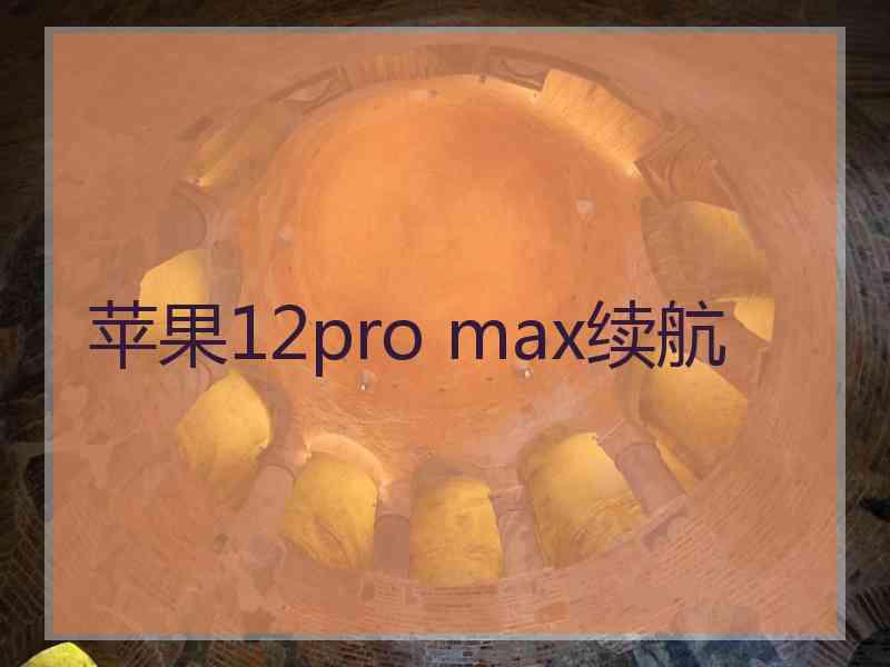 苹果12pro max续航