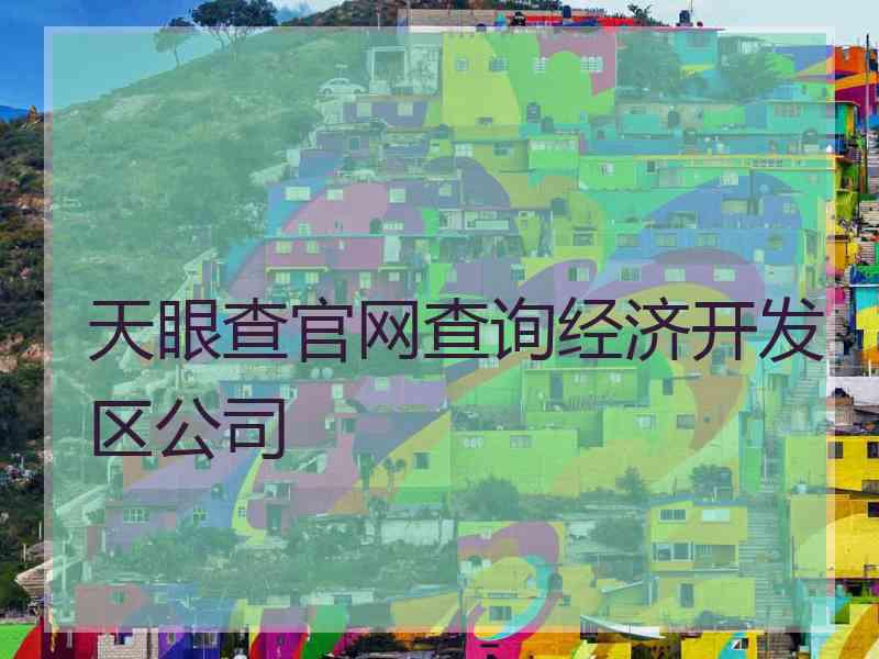 天眼查官网查询经济开发区公司