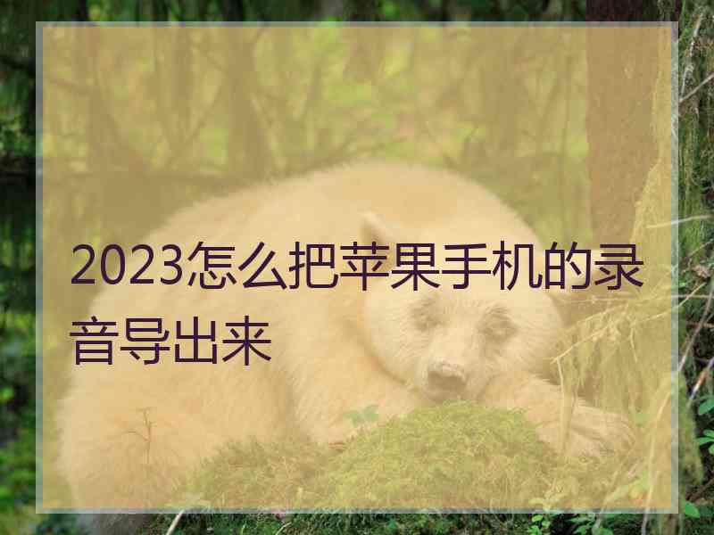 2023怎么把苹果手机的录音导出来