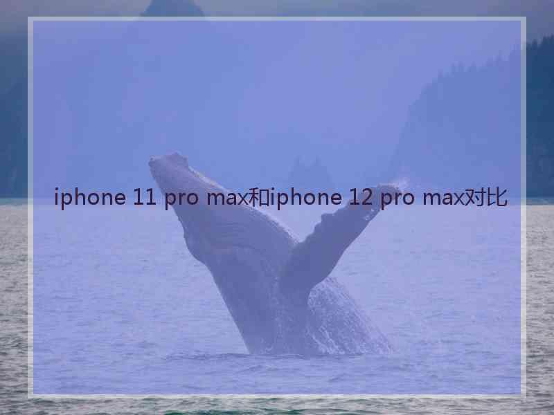 iphone 11 pro max和iphone 12 pro max对比