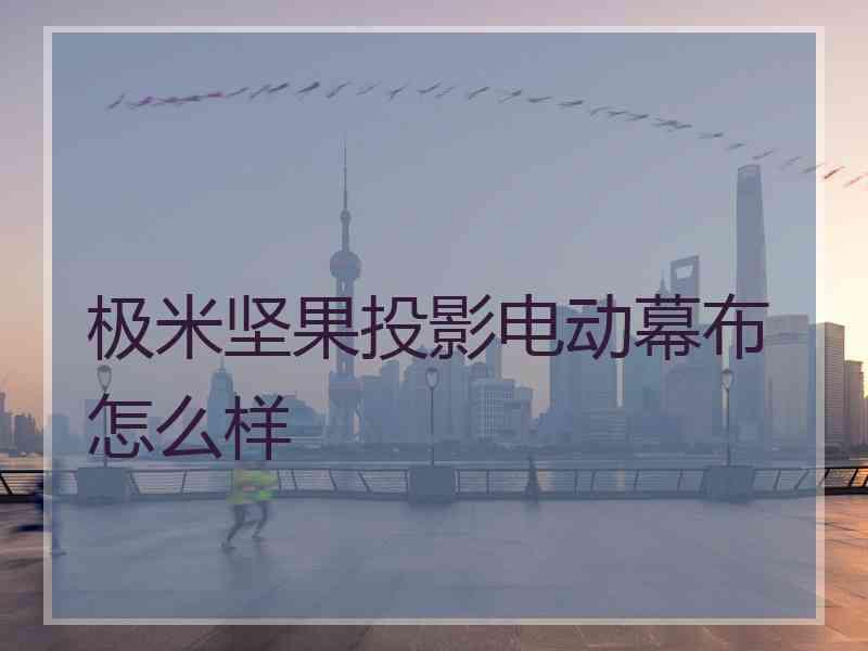 极米坚果投影电动幕布怎么样