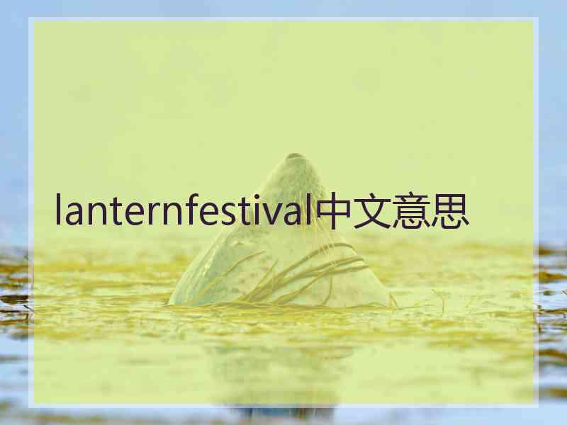 lanternfestival中文意思