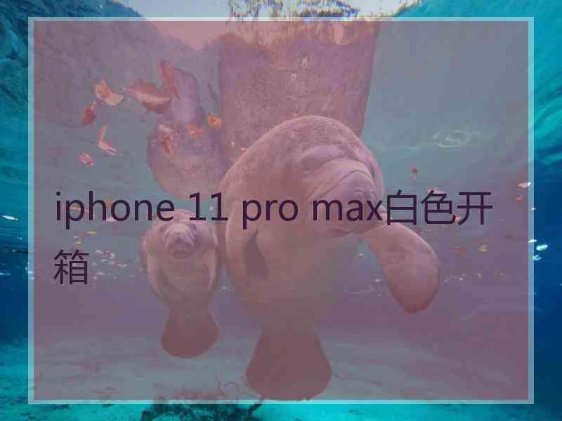 iphone 11 pro max白色开箱