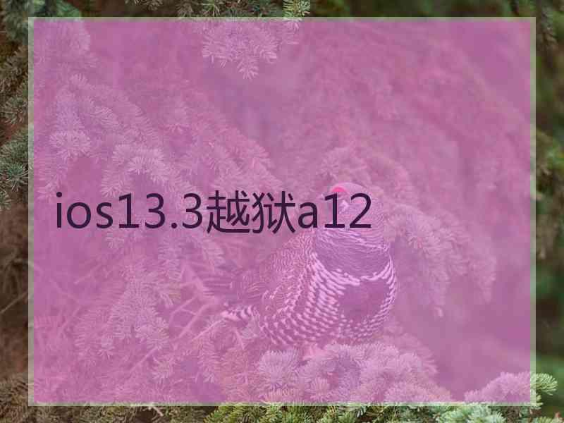 ios13.3越狱a12