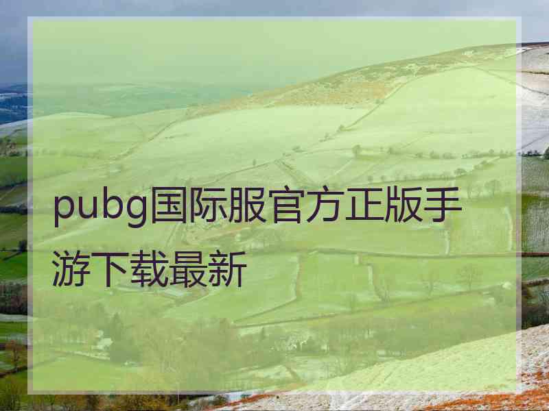 pubg国际服官方正版手游下载最新