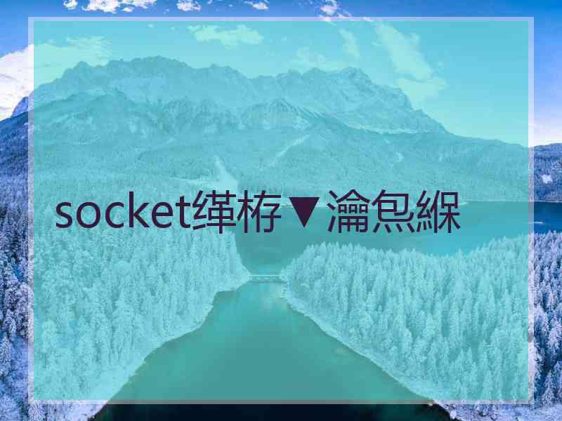 socket缂栫▼瀹炰緥