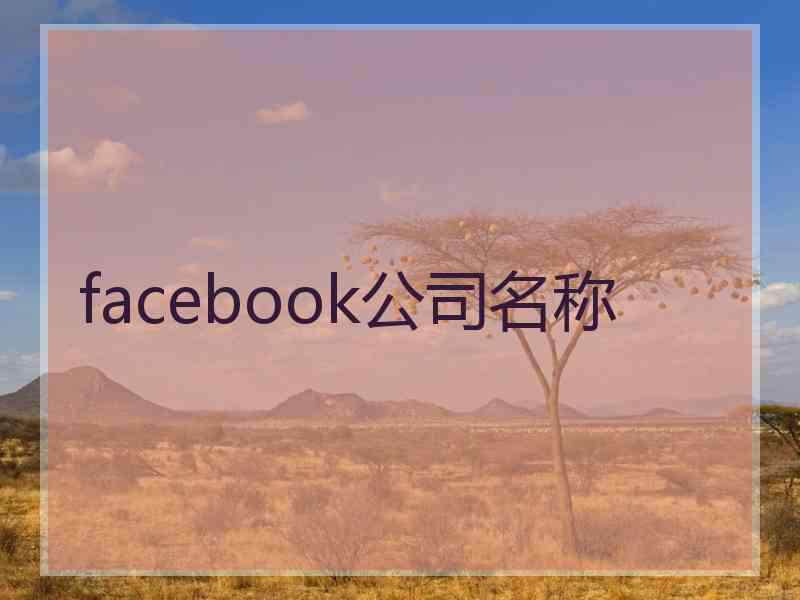 facebook公司名称