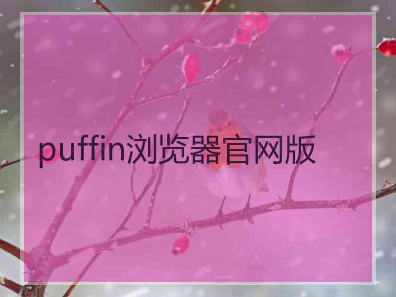 puffin浏览器官网版