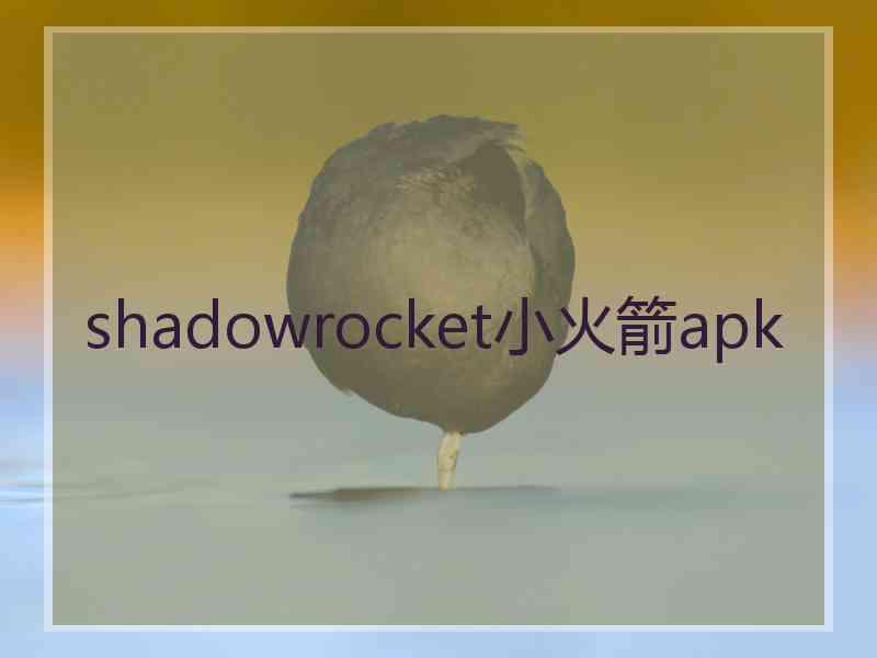 shadowrocket小火箭apk