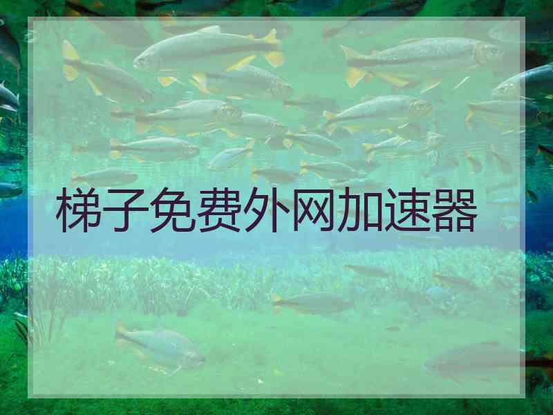 梯子免费外网加速器