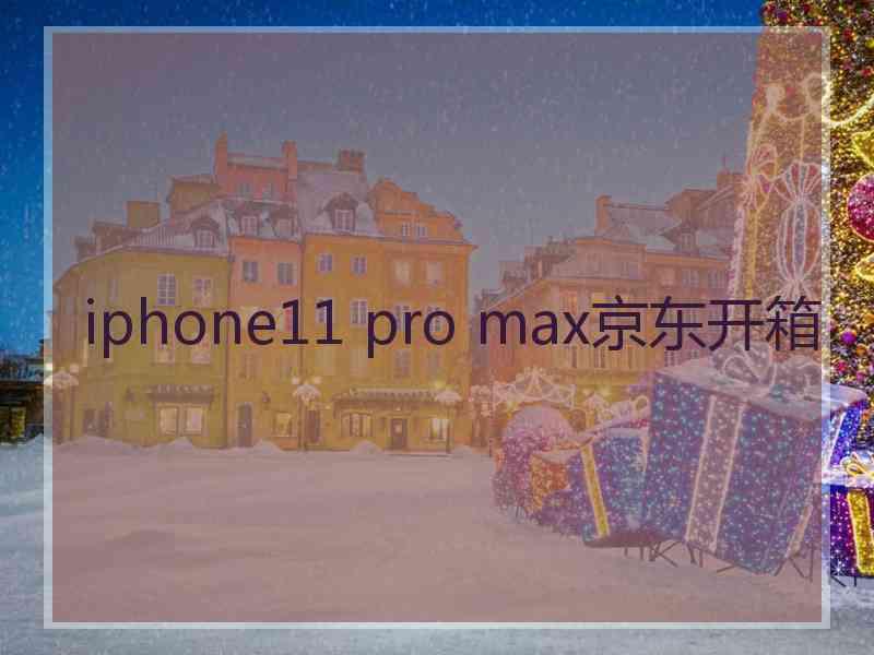 iphone11 pro max京东开箱