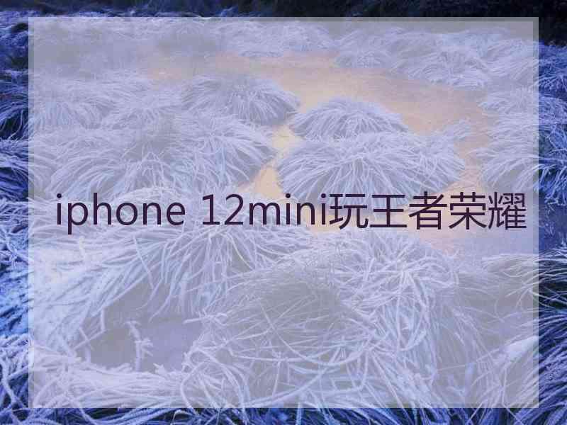 iphone 12mini玩王者荣耀