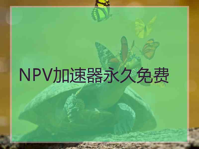 NPV加速器永久免费