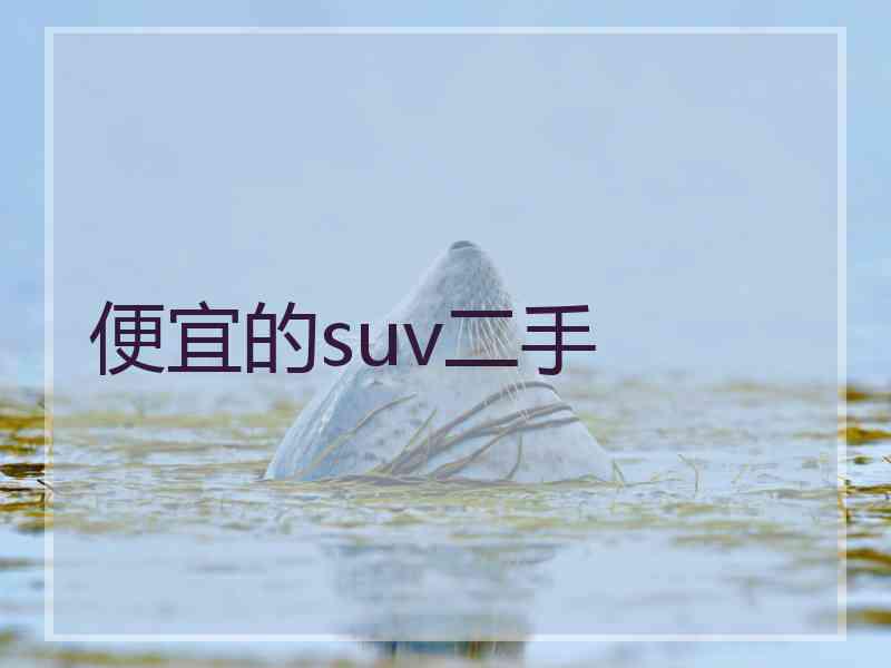 便宜的suv二手