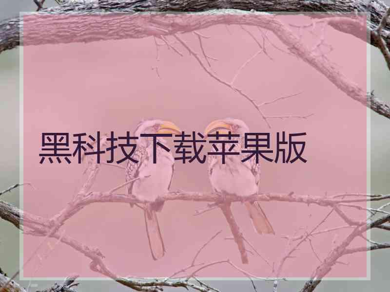 黑科技下载苹果版