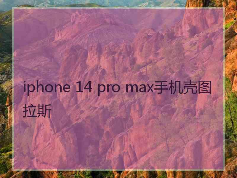 iphone 14 pro max手机壳图拉斯