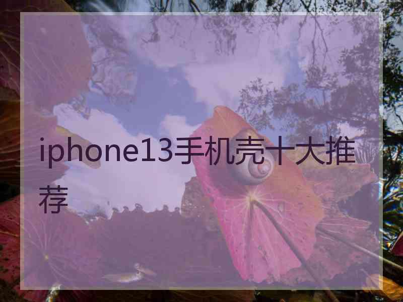 iphone13手机壳十大推荐