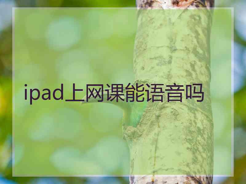 ipad上网课能语音吗