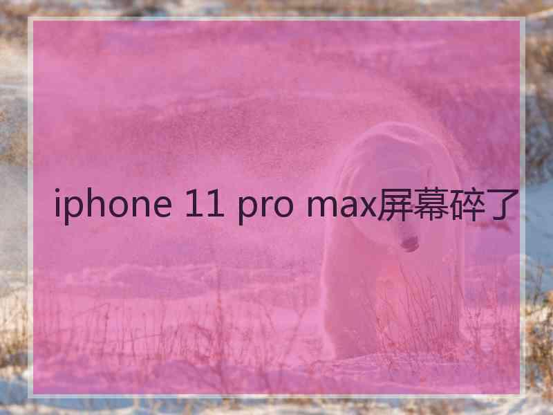 iphone 11 pro max屏幕碎了