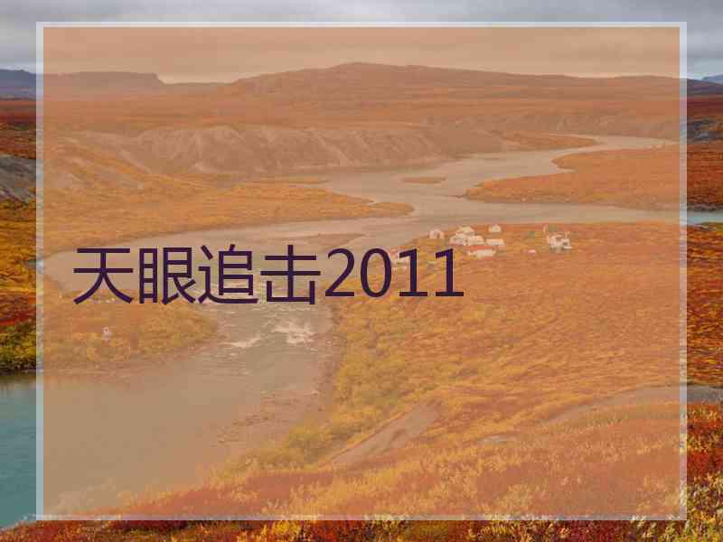 天眼追击2011